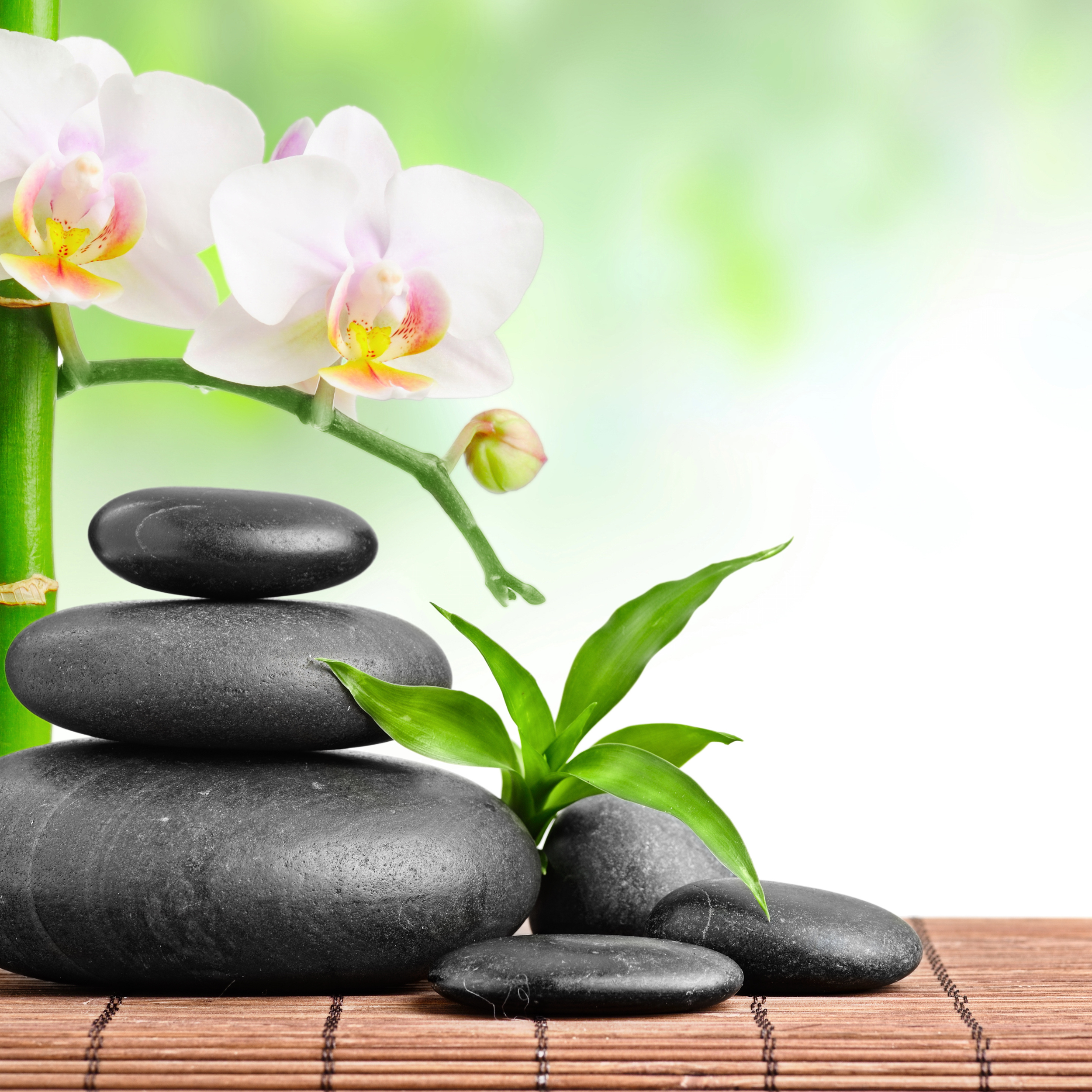 Health & Wellness Default Image: three stones balanced on one another with orchids and bamboo with a serene green background