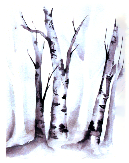 Watercolor painting of a stand of birch trees.