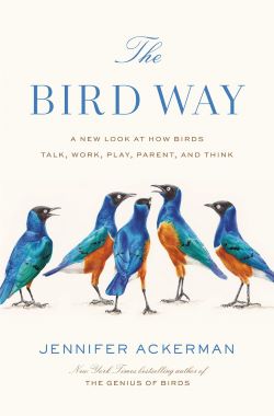 Cover image for The Bird Way by Jennifer Ackerman