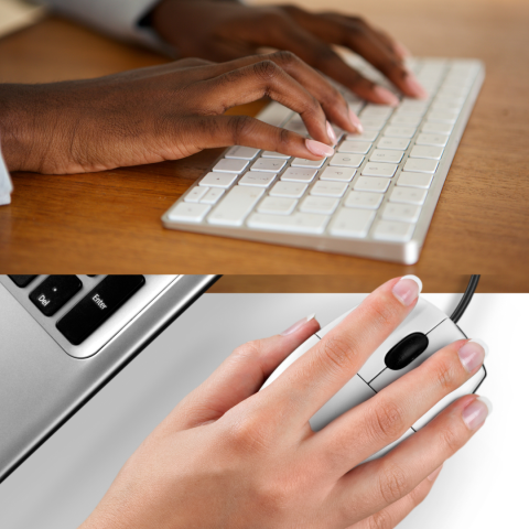 hands typing on a keyboard / hand using a computer mouse