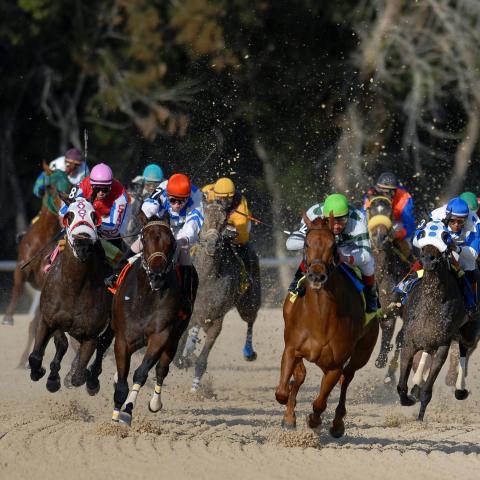 Horses and jockeys racing down a sand track