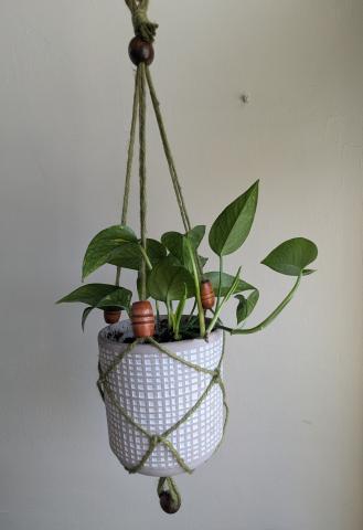 A potted plant hanging in a holder made of macrame cord.