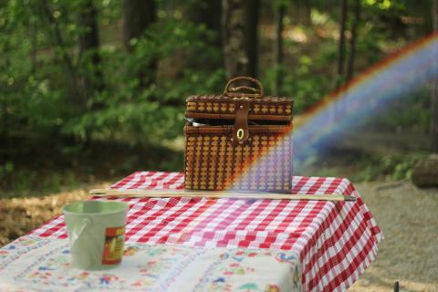 Picnic table with a red checked tablecloth and a wicker basket