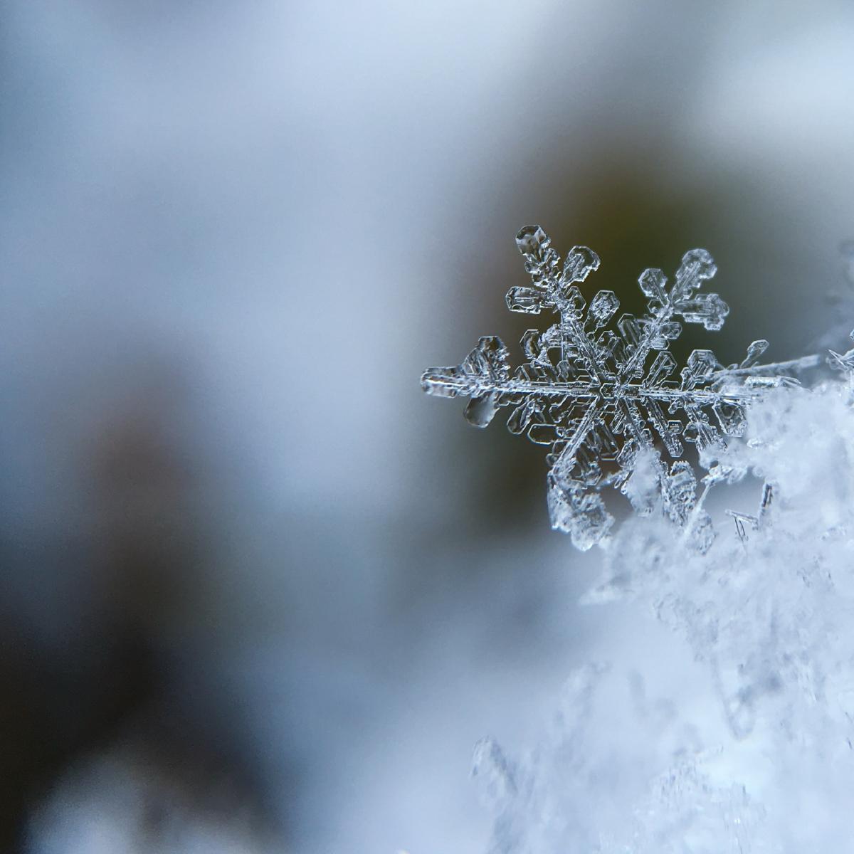 A closeup of a crystalline snowflake with a dark blurred background