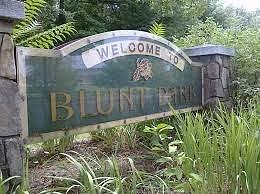 Photograph of the entrance sign for Blunt Park in Springfield, MA.